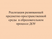 Реализация развивающей предметно-пространственной среды в образовательном процессе ДОУ