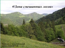 Цифровой образовательный ресурс Смешанный лес