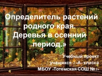 Презентация проекта по окружающему миру Определитель растений родного края