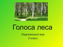 Презентация к уроку ИЗО Птицы в лесу