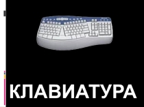 Презентация по информатике Клавиатура