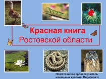 Презентация по окружающему миру на тему Красная книга Ростовской области (3 класс)