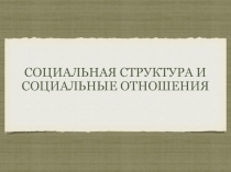 Презентация по обществознанию на тему Социальная структура общества (11 класс)