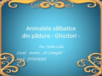 Презентация по румынскому языку на тему Animalele sălbatice clasa 4