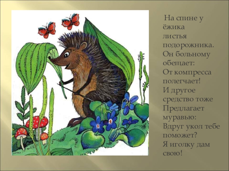 Презентация : Сказки про лекарственные растения На спине у ёжика листья подорожника. Он больному обещает: На спине у ёжика листья подорожника. Он больному обещает: От компресса полегчает! И другое