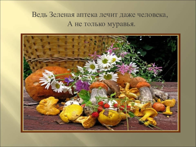 Презентация : Сказки про лекарственные растения Ведь Зеленая аптека лечит даже человека, Ведь Зеленая аптека лечит даже человека,