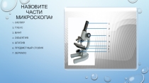 Презентация по биологии на тему: Строение клетки