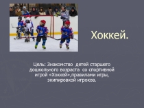 Презентация Зимние виды спорта.Хоккей