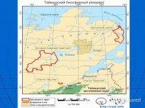 Презентация к занятиям дополнительного образования по экологии Таймырский заповедник