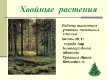 Презентация по окружающему миру Хвойные растения