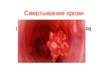 Презентация по биологии на тему Свертывание крови (8 класс)