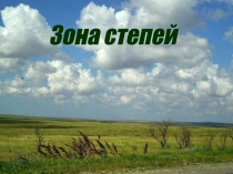 Презентация по окружающему миру на тему  Зона степей