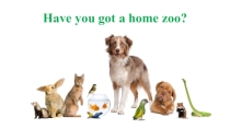 Презентация Have you got a home zoo