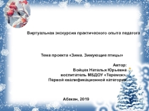Презентация Виртуальная экскурсия практического опыта педагогаЗима. Зимующие птицы