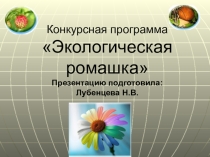 Презентация внеклассного мероприятия для 3-4 классов Экологическая ромашка