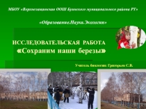 Презентация по биологии на тему Сохраним наши березы(Исследовательская работа)