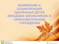 Презентация Социализация одаренных детей в образовательном учреждении
