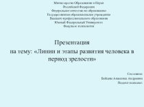 Линии и этапы развития человека в период зрелости