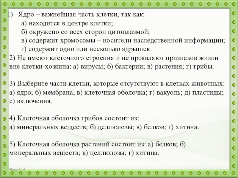 Презентация на тему Ядро – важнейшая часть клетки, так как: а) Ядро – важнейшая часть клетки, так как: а) находится в центре клетки; б) окружено со всех сторон