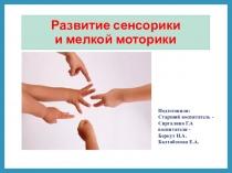 Презентация Моторика и сенсорика