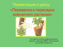 Презентация по цветоводству Перевалка и пересадка растений (5 класс)