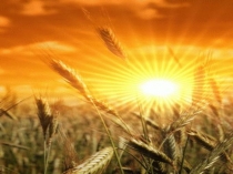 Презентация к внеклассному мероприятию Хлеб всему голова