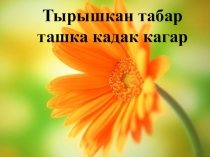 4 сыйныф өчен әдәби укудан ачык дәрес С.Әдһәмова Дуслар