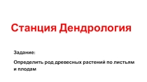 Презентация на экологическую игру на станции Дендрология