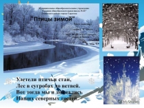 Презентация по окружающему миру Птицы зимой