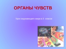 Презентация к уроку по окружающему миру на тему Органы чувств (3 класс)