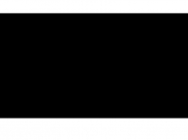 Использование ИКТ при организации образовательного процесса в ДОУ