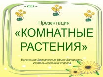 Комнатные растения. Презентация к уроку по окружающему миру. 4 класс