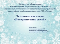 Презентация Покормите птиц зимой!