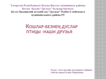 Кошлар безнең дуслар