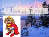 Презентация классный час тема: С Днём защитника Отечества