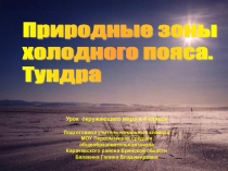 Природные зоны холодного пояса. Тундра