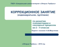 Презентация для занятия по психомоторике Мы внимательны
