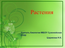 Презентация по биологии Растения (5 класс)