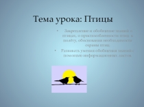 Презентация по биологии на тему  Класс Птицы (7 класс)