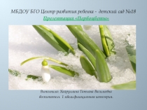 Презентация по познавательному развитию  Первоцветы