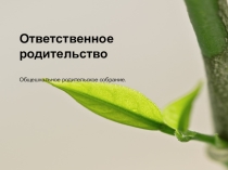 Родительское собрание Ответственное родительство