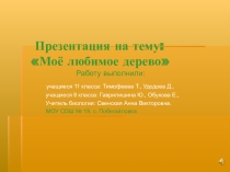 Моё любимое дерево