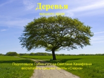 Презентация по экологическому воспитанию на тему: Деревья родного края в средней группе