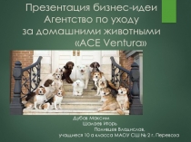 Презентация бизнес-идеи Агентство по уходу за домашними животными ACE Ventura  в рамках темы по экономике Бизнес-план
