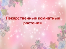 Лекарственные комнатные растения.