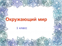 Презентация к уроку окружающего мира по теме Где живут белые медведи? Где живут пингвины?
