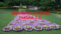 Презентация для подготовительной группы на тему: Цветочный ковёр (1.1 часть)