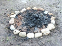 Презентация к мероприятию Что такое экология