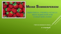 Презентация по немецкому языку на тему Мои летние каникулы (8 класс)