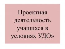 Презентация Проектная деятельность учащихся в условиях УДО